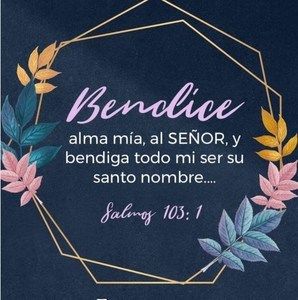 Meet your Posher, Nelly